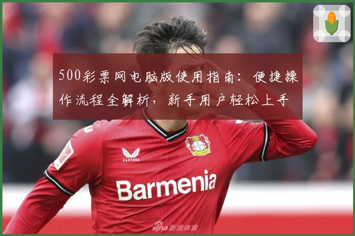 500彩票网电脑版使用指南：便捷操作流程全解析，新手用户轻松上手步骤详解